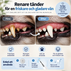 Clinevo Pet Pro™ | Tandrengörare för hundar