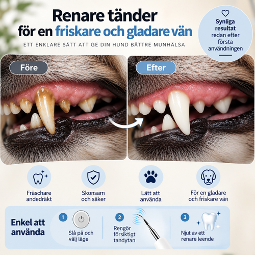 Clinevo Pet Pro™ | Tandrengörare för hundar